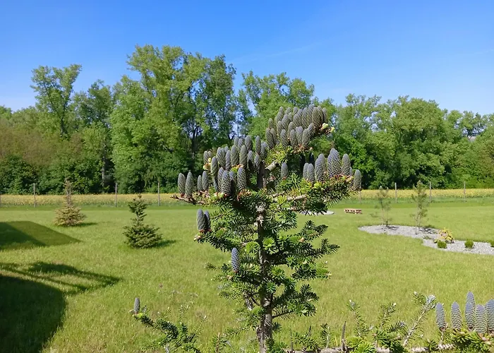 Glamping Pogorzany - Jurty * Zabierzow