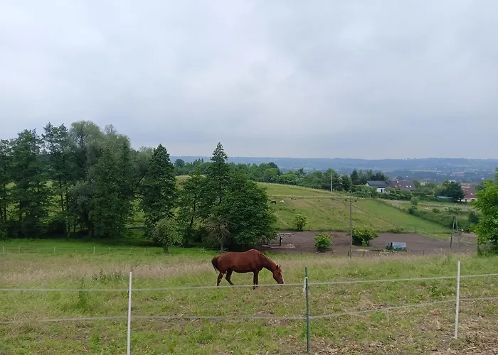 Glamping Pogorzany - Jurty